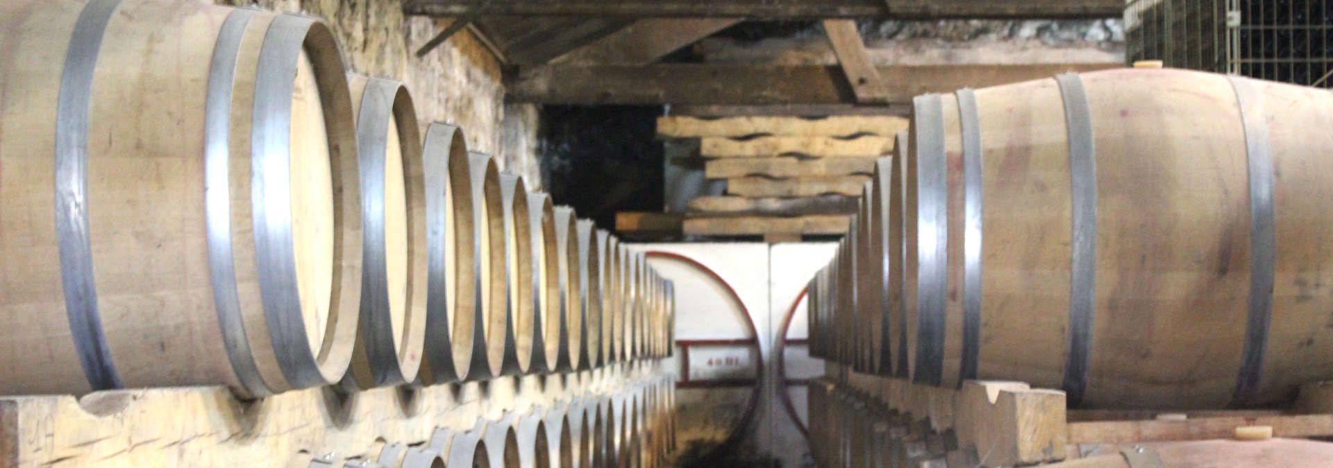 Chateau de Cach - Rue des Vignerons