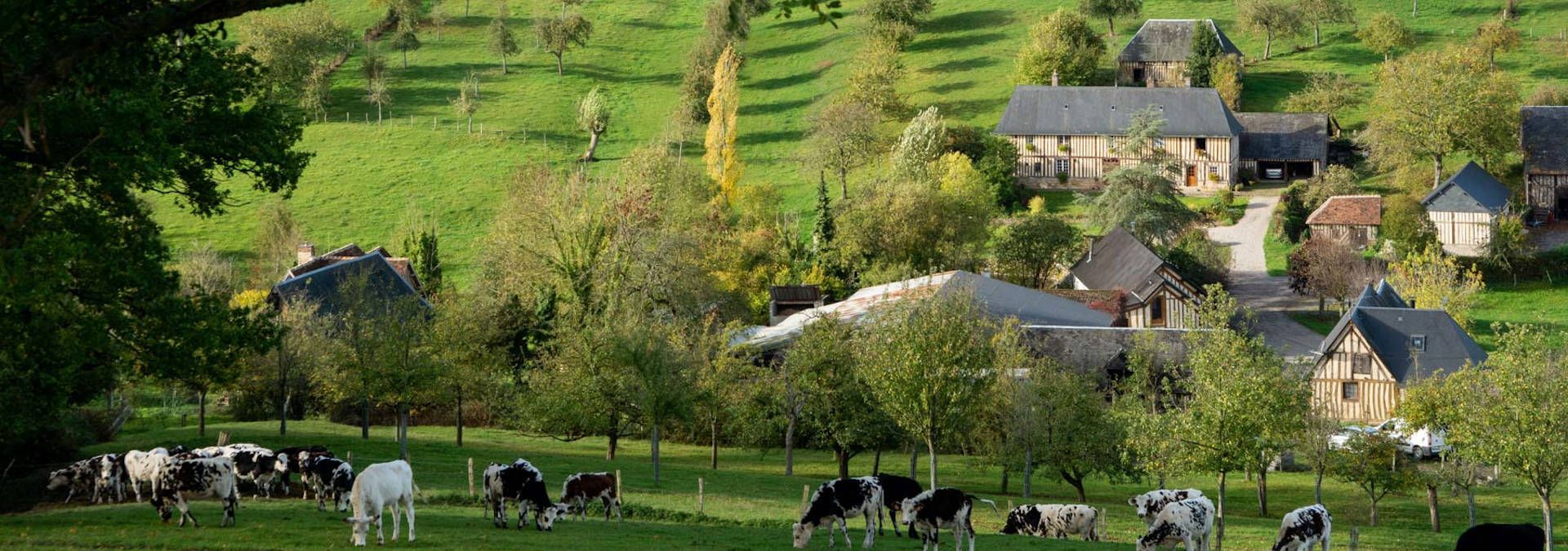 Domaine de la Galotière - Rue des Vignerons