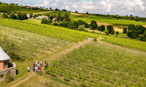 Visite des vignes, du domaine et dégustation-photo