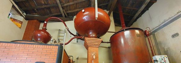 Visita de descubrimiento de la finca-photo
