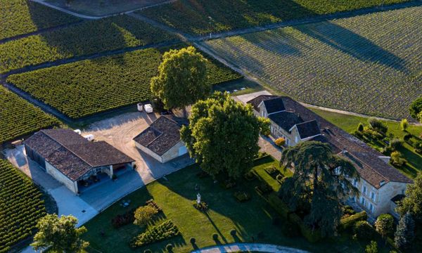 From vines to wine