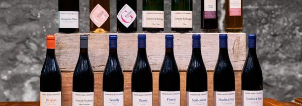 Découverte du Beaujolais et des Crus du Beaujolais-photo