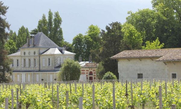 Tag der offenen Tür Primeurs 17 & 18 Mai-photo