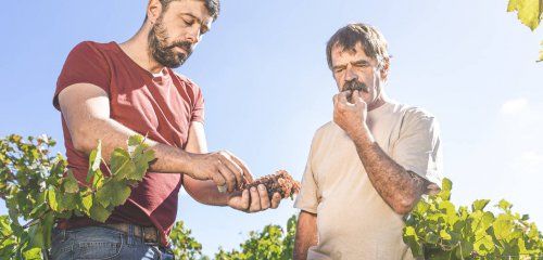 Domaine Landron Chartier photo