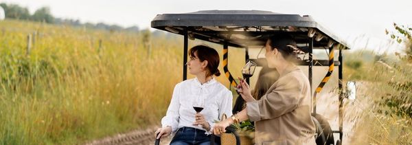 Visite-Dégustation privée Les Secrets d'Angludet-photo