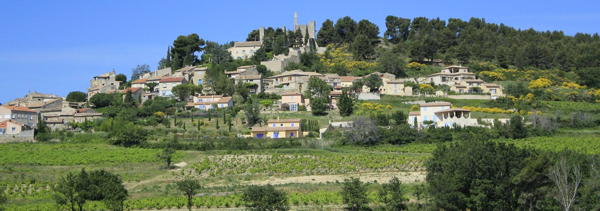 Domaine du Trapadis - Rue des Vignerons