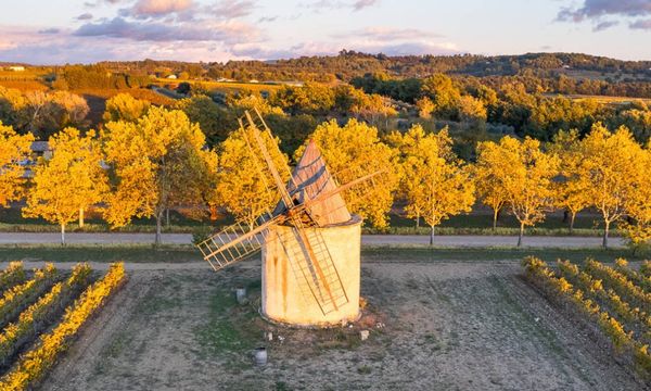 Les secrets de la vigne-photo