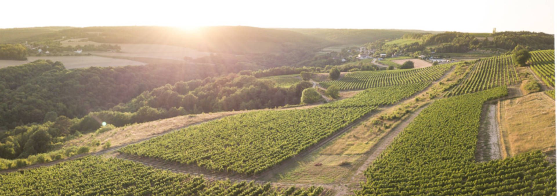 Domaine du Meix Perthuis - Rue des Vignerons