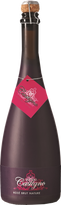 Château Castigno Rosé Brut Nature 2019 Rosado