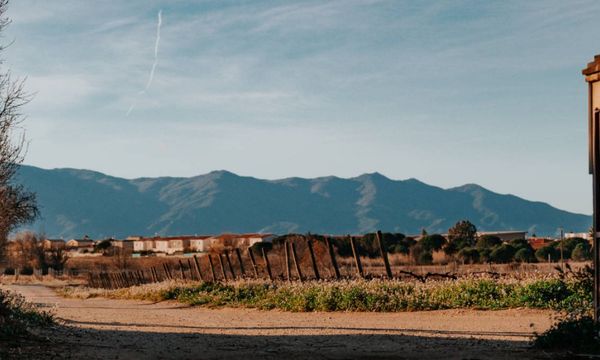 Introduction to the subject... Vineyards, cellars-photo