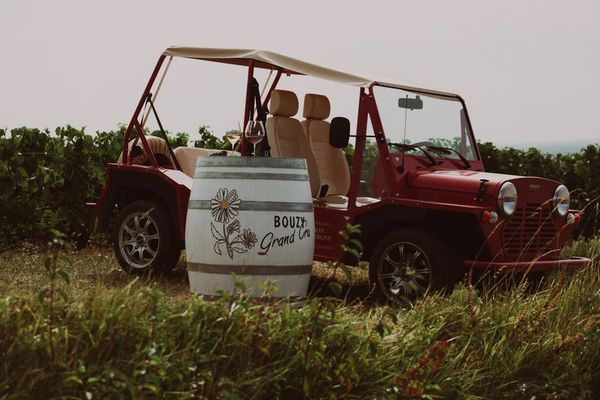 Vineyard walks - Pack Moke-photo