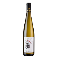 Cave de Ribeauvillé Andante 2017 White wine
