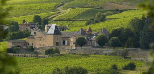 Château de Juliénas photo