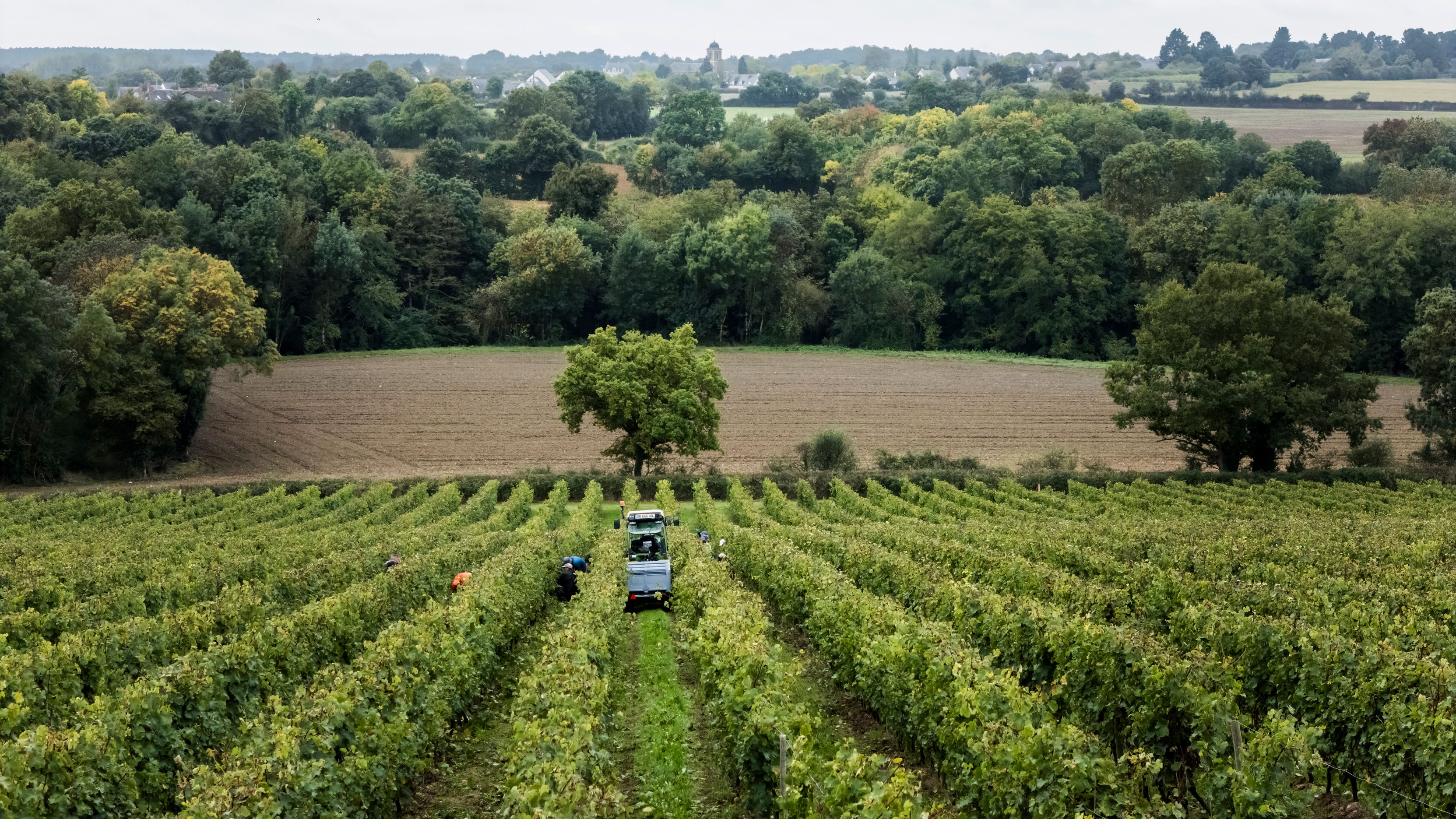 Domaine de Haute Perche - Rue des Vignerons