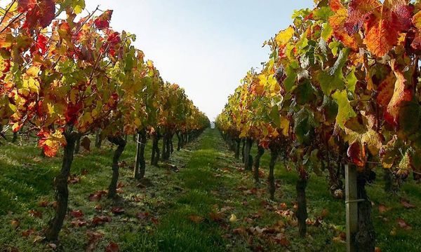 Terroirs visit 4 wines -photo