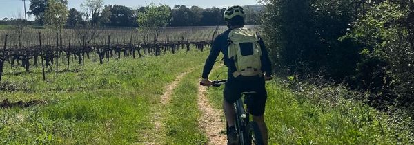 Discover the winery by mountain bike-photo