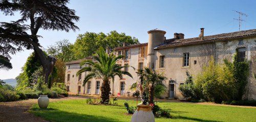 Château de Gaure photo