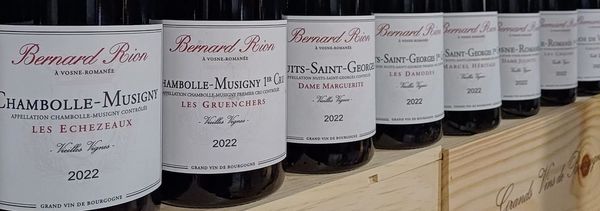 Laboratorio di scoperta del vino e del cioccolato-photo