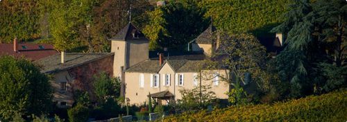 Château Thivin photo
