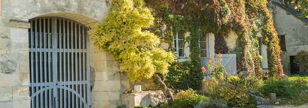 Discover the winery-photo