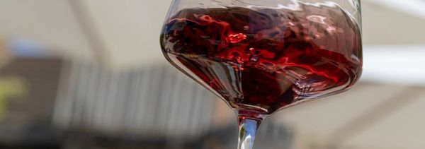 Expérience  « Grands Crus »-photo