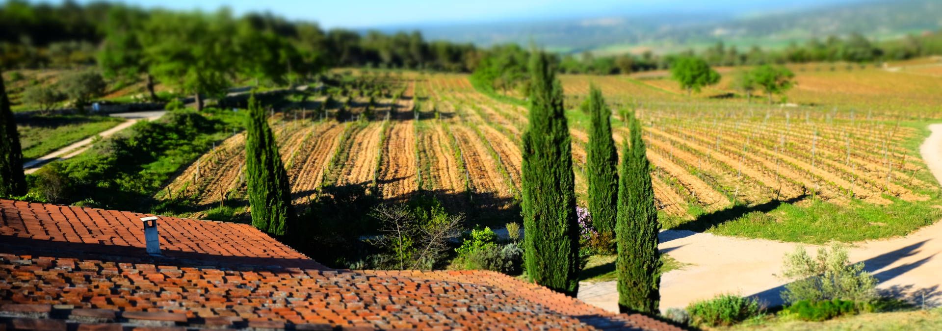 Domaine du Deffends - Rue des Vignerons