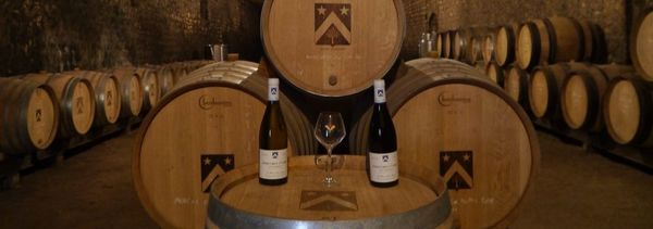 Prestige tasting-photo