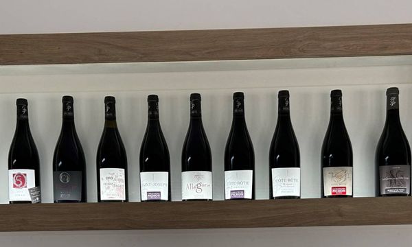 Discovering our appellations-photo
