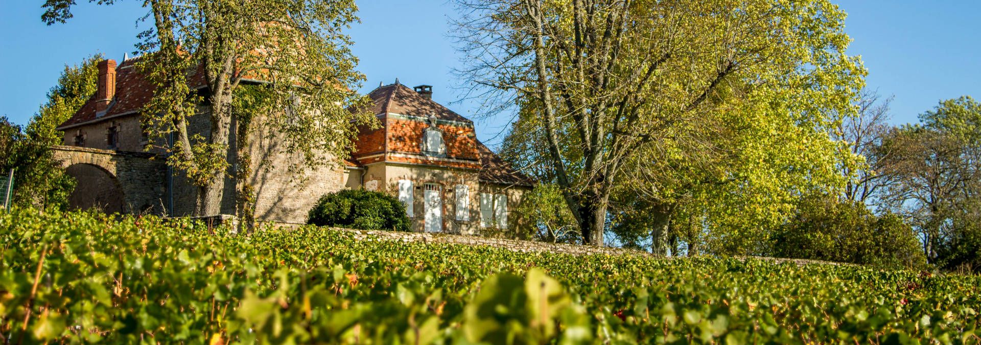 Château de Rougeon - Rue des Vignerons