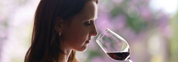 A la découverte des arômes du vin-photo