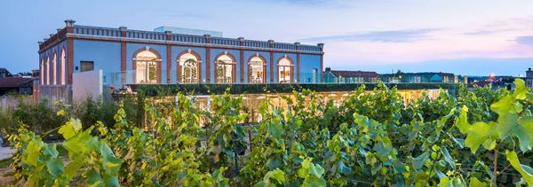 Viaggio sensoriale nel cuore dello champagne (gruppo)-photo