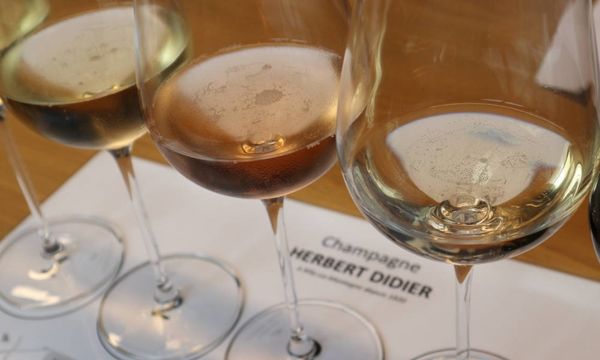 Tasting of 5 champagnes-photo