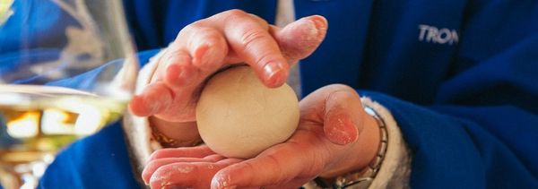 De la Terre au Verre-photo