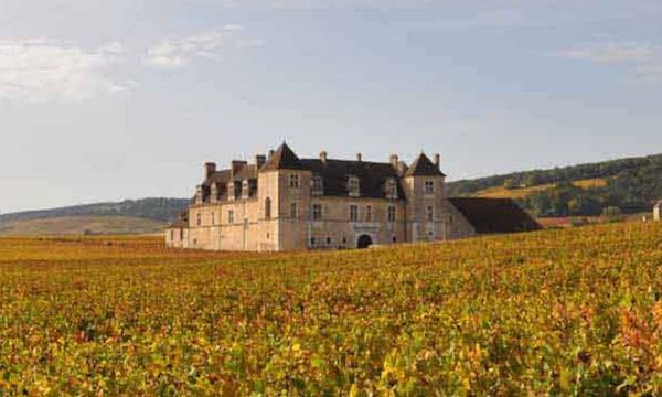 Morning Excursion to the Côte de Nuits-photo