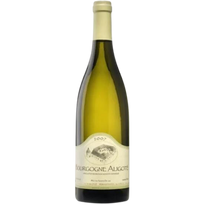 Domaine Borgnat Bourgogne Chardonnay 2020 Blanc