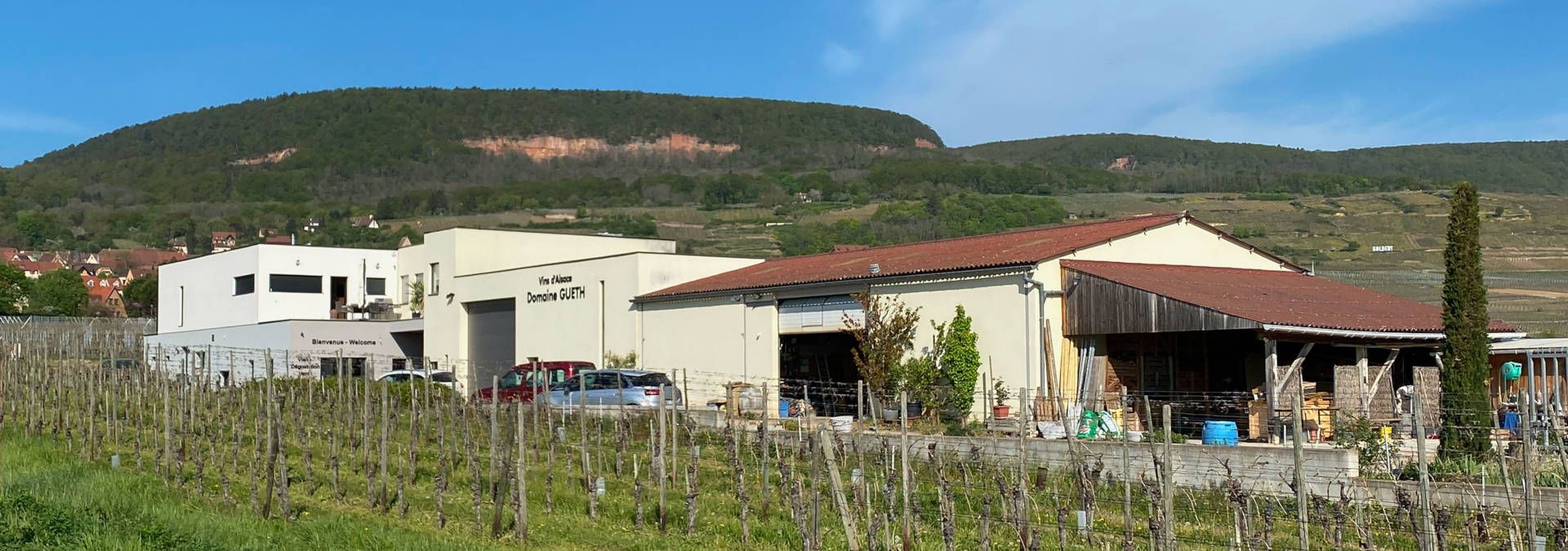 Domaine Gueth - Rue des Vignerons