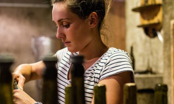 Dégustation des vins de la maison-photo