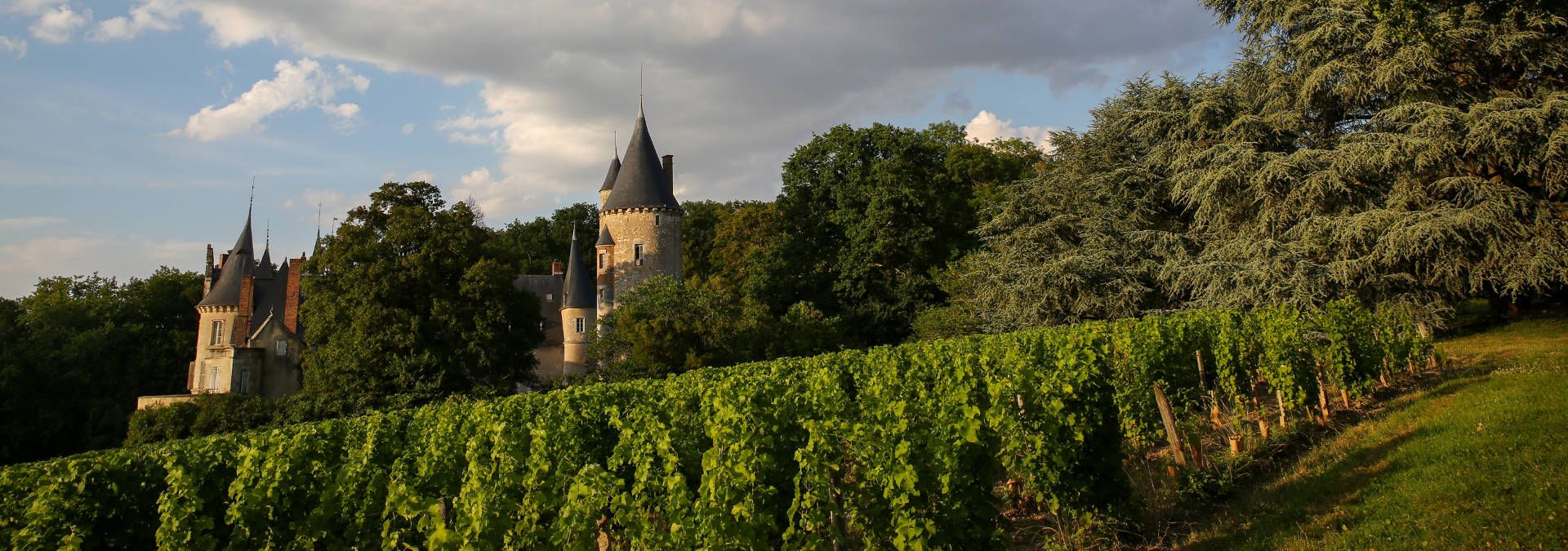 Château de Tracy, Rue des Vignerons