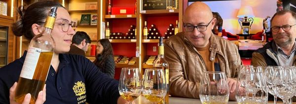 Graves & Sauternes Private Day Tour in a vintage car, from Bordeaux-photo