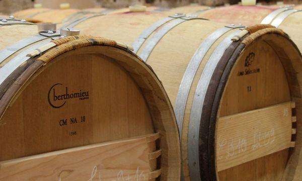 Visit and comparative tasting-photo