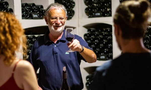Discover the winery's wines in 3 colours-photo