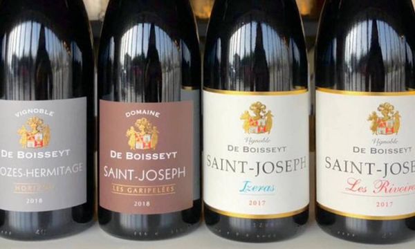 Dégustation au Domaine De Boisseyt-photo