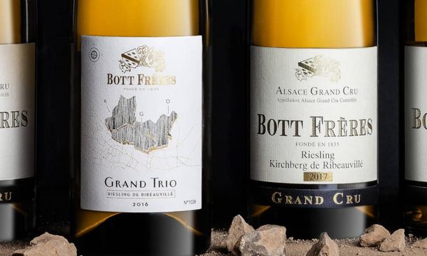 Riesling, roi des vins d'Alsace !-photo