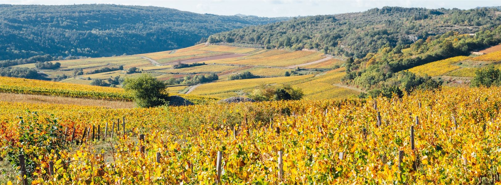 Escapade dans le Beaujolais!