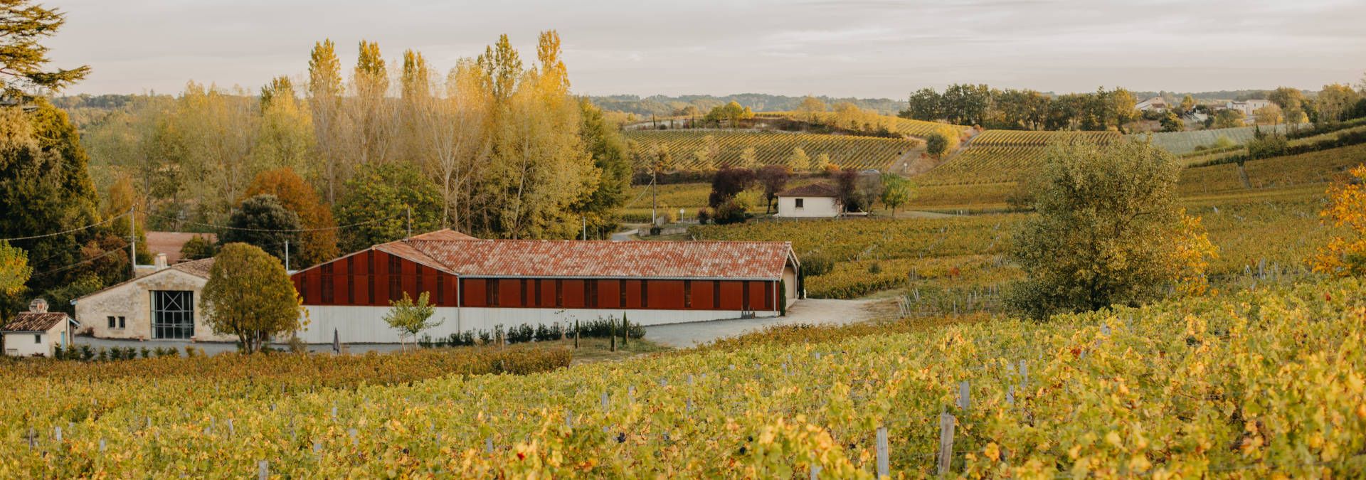 Château Rol Valentin - Rue des Vignerons