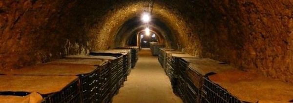 Les Caves Mémoire du Domaine de Cézin-photo