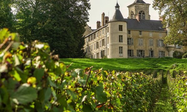 Le Gallais Experience: discovering Le Clos-photo