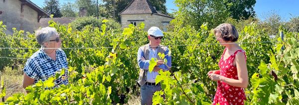 Vineyard break: visit & tasting-photo