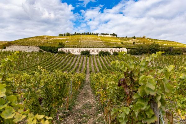 Taller: Paseo y cata del Hermitage-photo