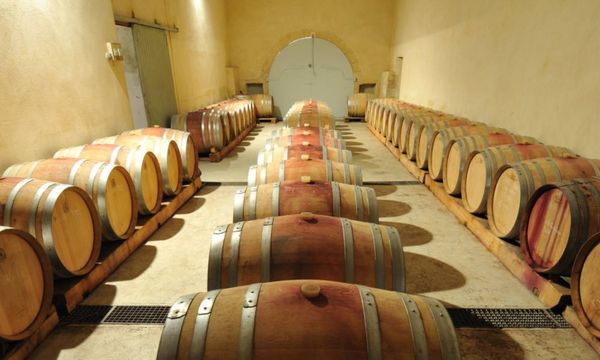 Visita a la bodega y degustación-photo